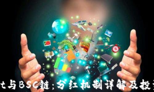 
TPWallet与BSC链：分红机制详解及投资者指南