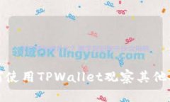 如何使用TPWallet观察其他人的